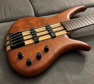 Basso Mari Mastertone 5