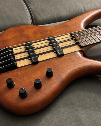 Basso Mari Mastertone 5