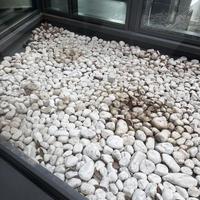 Pietre decorative bianche per giardino/aiuole