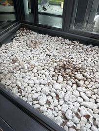 Pietre decorative bianche per giardino/aiuole