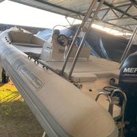 Novamares Pocho 22 - Mercury 150 cv