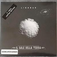 Ligabue “il sale della terra”