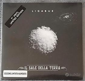 Ligabue “il sale della terra”