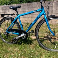 Bicicletta da uomo trk