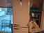 Immagine 4