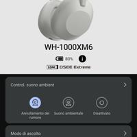 Sony WH-1000XM6