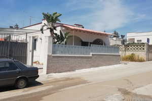 Vacanze al mare San Pietro in Bevagna Manduria Pug