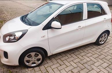 Kia Picanto 1.0 5 porte – 1 Proprietario – Clima