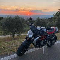 MV Agusta Brutale 800