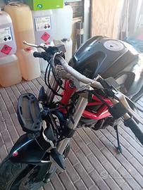 ducati monster 796 