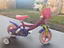 Immagine 2