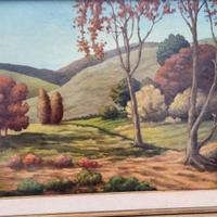 Quadri. Dipinti a olio sggetto paesaggio