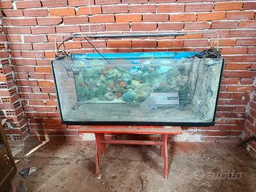 acquario grande 