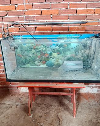 acquario grande 
