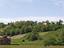 Immagine 7
