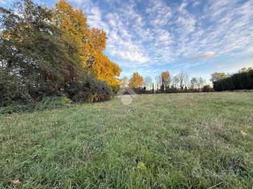 TER. AGRICOLO A MOLTENO