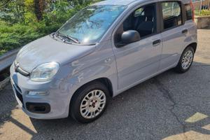 PANDA III SERIE 1.2 EASY - GPL