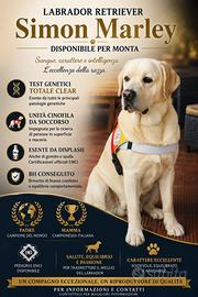 Disponibile per Monta