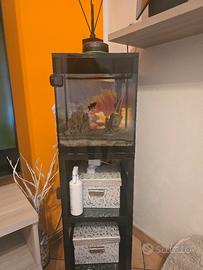 acquario Askoll PureM