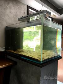Acquario grande con lampada riscaldante