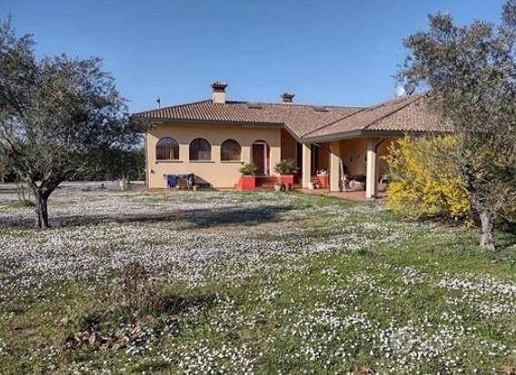 Casa – Cesena, San Cristoforo, Quartiere Dismano - Vista 3