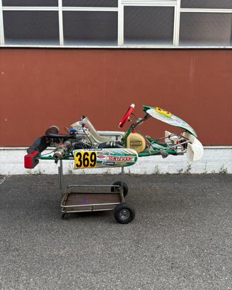 tony kart 401rr 2024/ iame x30 junior, senior