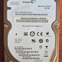 Hardisk SEAGATE 256gb