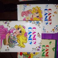 Candy Candy dal 1 al 141 con tre raccoglitori 