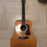 Chitarra Washburn 12 Corde