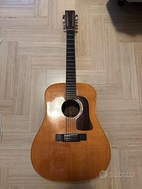 Chitarra Washburn 12 Corde