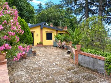 VILLA SINGOLA A PEDARA