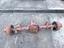 Immagine 11