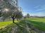 Immagine 22