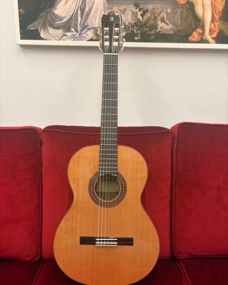 Chitarra Alhambra Iberia Ziricote