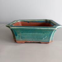 Vaso bonsai sagomato