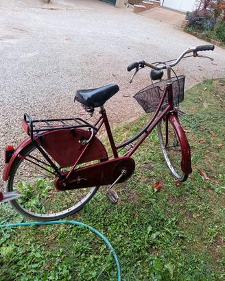 Bicicletta donna 