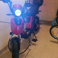 Bicicleta elettrica
