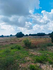 Terreno agricolo 