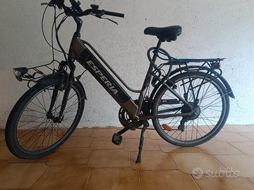 Bicicletta Elettrica 