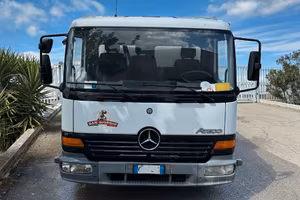 Mercedes Atego Surgelati