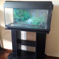 Acquario
