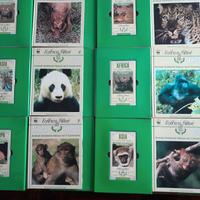 Collezione videocassette Arca di Noè 