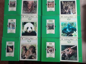 Collezione videocassette Arca di Noè 