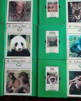 Collezione videocassette Arca di Noè 