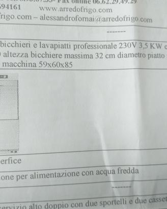 Lavastoviglie professionale