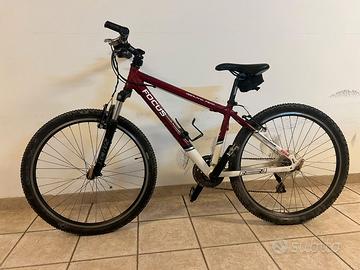 Bici Focus