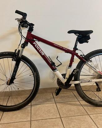 Bici Focus