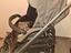 Immagine 6