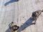 Immagine 3