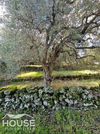 Ragalna - terreno agricolo